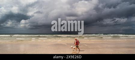 Ein Panoramabild eines Hundewanderers und seines Haustiers English Bull Terrier, der entlang des Fistral Beach spaziert, während sich dunkle, brütende Regenwolken der Küste Newqs nähern Stockfoto