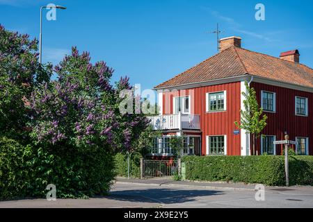 Blühende Gärten und alte Wohnhäuser in der Roten Stadt Norrköping im Spätherbst oder Frühsommer in Schweden. Red Town stammt aus dem Jahr 1918 Stockfoto