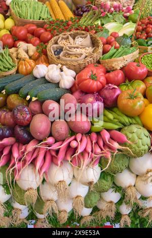 Eine bunte Komposition aus frischem Gemüse, einschließlich Artischocken, Radieschen, Salat, Tomaten, Karotten, Blumenkohl und Kürbisse Stockfoto