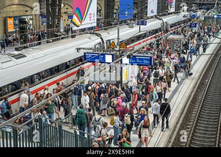 Zug, ICE, Passagiere, Bahnsteig, Bahnhofshalle, Hauptbahnhof, Hamburg, Deutschland Stockfoto