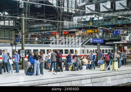 Zug, IC, Passagiere, Bahnsteig, Bahnhofshalle, Hauptbahnhof, Hamburg, Deutschland *** Zug, IC, Passagiere, Bahnsteig, Bahnhofshalle, Hauptbahnhof, Hamburg, Deutschland Stockfoto