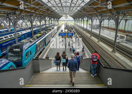 Hauptbahnhof, Bahnsteig, Regionalbahn, Lübeck, Schleswig-Holstein, Deutschland *** Hauptbahnhof, Bahnsteig, Regionalbahn Lübeck, Schleswig Holstein, Deutschland Stockfoto