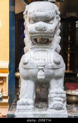 Vorderansicht einer Steinwache Löwe am Gangaramaya Tempel, den wichtigsten Tempeln in Colombo, Sri Lanka Stockfoto