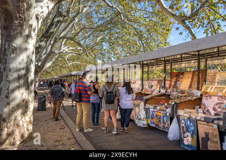 Die Leute stöbern auf einem Freiluftmarkt mit Verkaufsständen, die Bücher und Souvenirs an der Lungotevere Castello, Rom, Italien, verkaufen Stockfoto