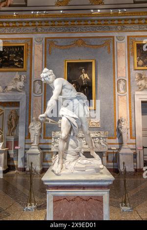 David, eine lebensgroße Marmorskulptur von Gian Lorenzo Bernini, bevor er den Stein nach Goliath, Galleria Bhorghese, Rom, Italien schleudert Stockfoto