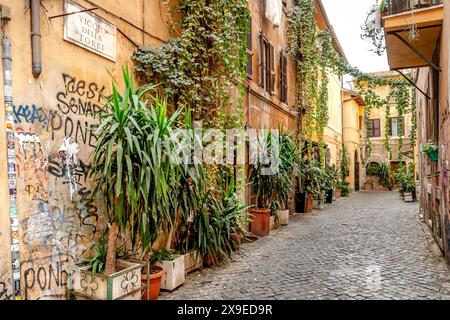 Vicolo della Torre , eine kleine Straße im Viertel Trastevere in Rom, Italien Stockfoto