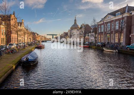 Oude Vest in Leiden Stockfoto