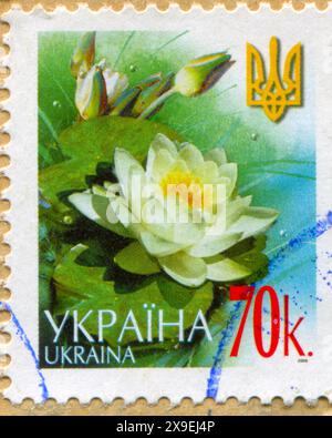 UKRAINE - CA. 2006: Stempel gedruckt von der Ukraine, zeigt Seerose, ca. 2006 Stockfoto