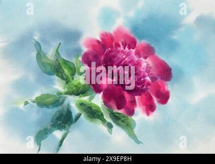 Rote Pfingstrose Blume gemalt mit Aquarell in blauem Himmel Hintergrund Stockfoto