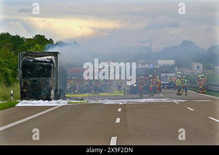 ***BILDER- & INFOUPDATE PRESSEMITTEILUNG*** LKW mit Papierrollen brennt auf der A81 in voller Ausdehnung - Mehrstündige Vollsperrung führt zu Verkehrschaos 22.05.2024: Pressemitteilungen des Polizeipräsidiums Ludwigsburg: Polizeipräsidium Ludwigsburg POL-LB: BAB 81/Pleidelsheim: Fahrstreifen der Autobahn nach Fahrzeugbrand wieder frei gegeben Ludwigsburg ots Nachdem es am Mittwoch 22.05.2024 kurz vor 13,00 Uhr im Bereich der Anschlussstelle Pleidelsheim zu einem LKW-Brand gekommen ist siehe Erstmeldung: https://www.presseportal.de/blaulicht/pm/110974/5784839, konnte gegen 15,50 Uhr der linke F Stockfoto