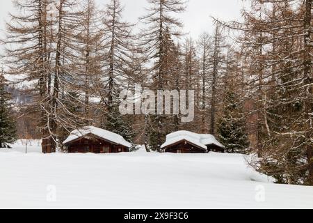 Kleines hölzernes Häuschen in den schneebedeckten Wäldern Stockfoto