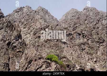 Felswand der Seealpen im oberen Gesso-Tal, Cuneo (Piemont, Italien) Stockfoto