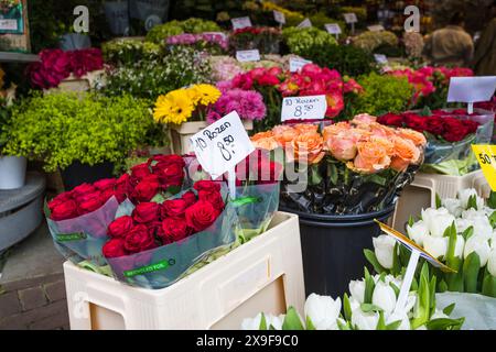 Rosen zum Verkauf auf dem schwimmenden Blumenmarkt Bloemenmarkt in Amsterdam, Niederlande, am 26. Mai 2024. Stockfoto