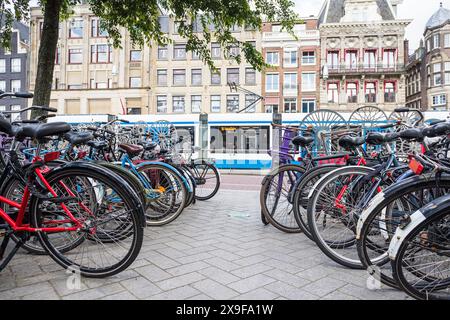 Geparkte Fahrräder bilden eine vorbeifahrende Straßenbahn, die am 28. Mai 2024 durch Amsterdam, Niederlande, fährt. Stockfoto