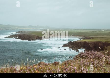 Küstenklippen, Slea Head Drive auf dem Wild Atlantic Way, Dingle Peninsula, County Kerry, Irland Stockfoto