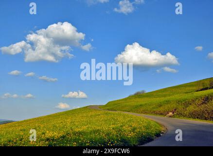 Alpenstraße durch Berglandschaft im Frühling, Schweiz Stockfoto