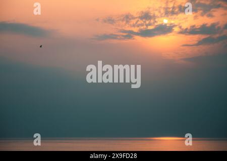 Fernvogel, der bei Sonnenuntergang über die Ostsee fliegt, Litauen Stockfoto