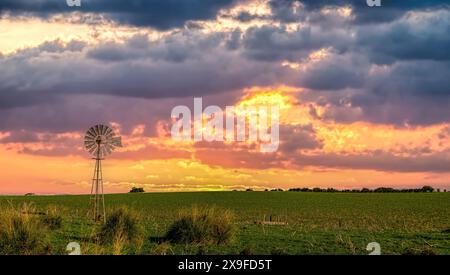Sonnenuntergang über einer traditionellen Metallwindmühle in ländlicher Outback-Landschaft, Western Australia, Australien Stockfoto