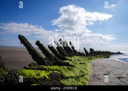 Schiffswrack am Strand von Cefn Sands im Pembrey Country Park in Carmarthenshire, South Wales. Bilddatum: Mittwoch, 29. Mai 2024. Stockfoto