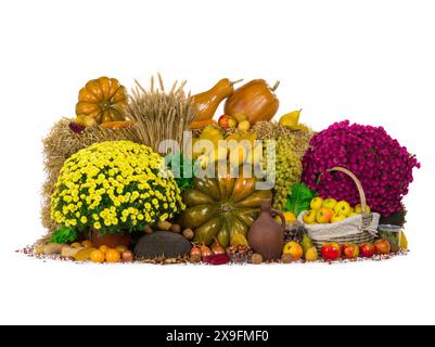 Großes herbstliches Stillleben in gelben Farben Stockfoto