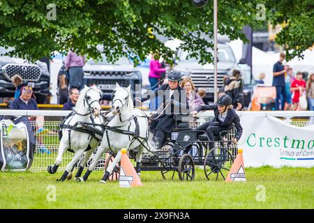 SHEPTON MALLET, SOMERSET, UK, 31. Mai 2024 Action-Aufnahme des Osborne Kühlschrankwettbewerbs mit doppeltem Gurtzeug bei der Royal Bath and West Show. John Rose/Alamy Live News Stockfoto