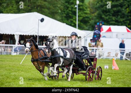 SHEPTON MALLET, SOMERSET, UK, 31. Mai 2024 Action-Aufnahme des Osborne Kühlschrankwettbewerbs mit doppeltem Gurtzeug bei der Royal Bath and West Show. John Rose/Alamy Live News Stockfoto