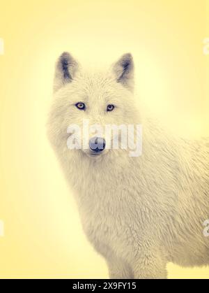 Porträt Polarwolf auf gelbem Hintergrund im Retro-Stil Stockfoto