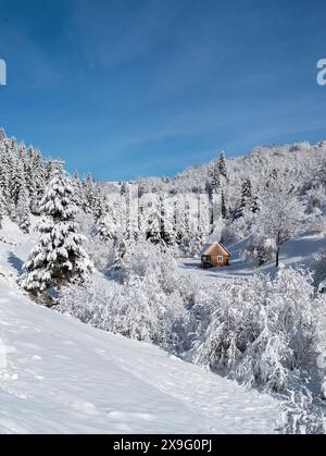 Schneebedecktes Haus im Wald an der Seite eines Berges Stockfoto