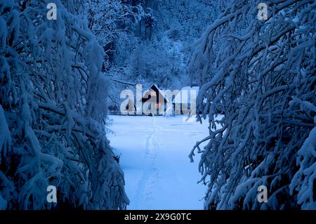 Die Nacht kommt, altes Haus mit Schnee bedeckt auf dem Hintergrund des Waldes Stockfoto