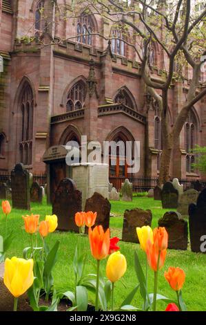 New York, NY, USA 1. Mai 2007 Tulpen blühen an einem Frühlingstag auf dem Friedhof der Trinity Church, einer historischen gotischen Kathedrale in Lower Manhattan Stockfoto