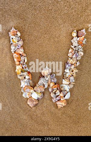 Der Buchstabe T des englischen Alphabets, ein Buchstabe aus Muscheln auf dem Sand. Muschelalphabet auf dem Sand. Nautische Buchstaben. Designer-Schriftart. Spanische Alp Stockfoto