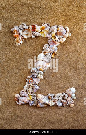 Der Buchstabe T des englischen Alphabets, ein Buchstabe aus Muscheln auf dem Sand. Muschelalphabet auf dem Sand. Nautische Buchstaben. Designer-Schriftart. Spanische Alp Stockfoto