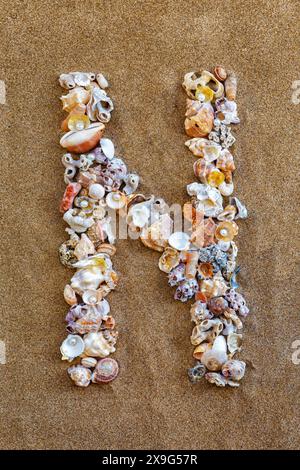 Der Buchstabe T des englischen Alphabets, ein Buchstabe aus Muscheln auf dem Sand. Muschelalphabet auf dem Sand. Nautische Buchstaben. Designer-Schriftart. Spanische Alp Stockfoto