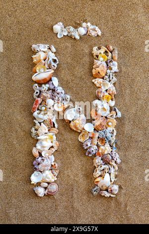 Der Buchstabe T des englischen Alphabets, ein Buchstabe aus Muscheln auf dem Sand. Muschelalphabet auf dem Sand. Nautische Buchstaben. Designer-Schriftart. Spanische Alp Stockfoto