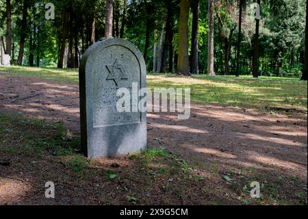 Vingis Park Friedhof für Soldaten, die während des 1. Und 2. weltkriegs starben. Deutsche, polnische, türkische, litauische Soldaten und Zivilisten Stockfoto