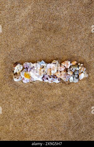 Ausrufezeichen, Frage, Punkt, Bindestrich, Minus, Plus für Schrift oder Alphabet, mit Muscheln auf Sand. Muschelalphabet auf dem Sand. Nautische Buchstaben sp Stockfoto