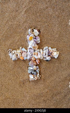 Ausrufezeichen, Frage, Punkt, Bindestrich, Minus, Plus für Schrift oder Alphabet, mit Muscheln auf Sand. Muschelalphabet auf dem Sand. Nautische Buchstaben sp Stockfoto