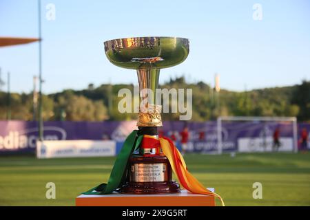 Florenz, Italien. 31. Mai 2024. Der Pokal der italienischen Fußballmeisterschaft Primavera Tim Cup 2023/2024 zwischen Sassuolo primavera und Roma primavera im Viola Park, Firenze, Norditalien, Freitag, 31. Mai 2024. Sport - Fußball - (Foto Michele Nucci Credit: LaPresse/Alamy Live News Stockfoto