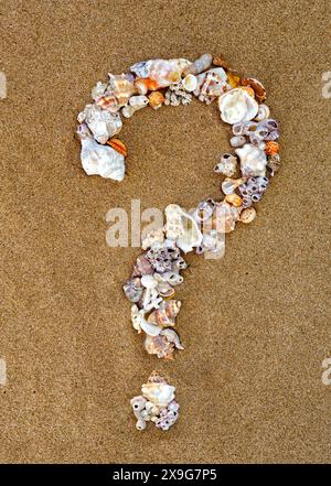 Ausrufezeichen, Frage, Punkt, Bindestrich, Minus, Plus für Schrift oder Alphabet, mit Muscheln auf Sand. Muschelalphabet auf dem Sand. Nautische Buchstaben sp Stockfoto