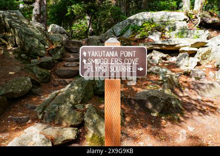 Hölzerne Schildertafel entlang des Yakutania Point Trail in der Nähe von Skagway, Alaska Stockfoto