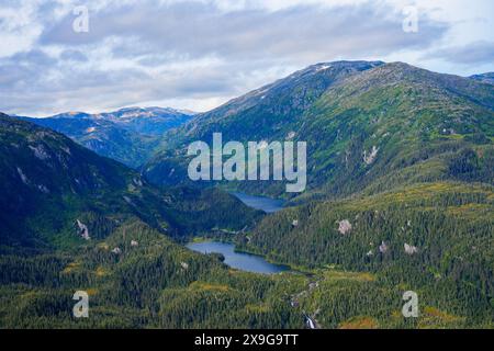 Blick aus der Vogelperspektive auf Bergseen, umgeben von Kiefernwäldern in den schneebedeckten Bergen östlich von Juneau, Alaska Stockfoto