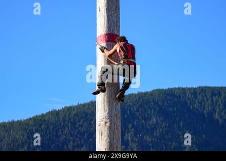 Holzfäller klettern auf einen Baumstamm während der Great Alaskan Lumberjack Show in Ketchikan, Alaska - beliebte Touristenattraktion, wo Holzfäller konkurrieren Stockfoto