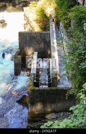 Lachsleiter entlang des Ketchikan Creek gebaut, um Lachse beim Schwimmen flussaufwärts der Stromschnellen zu helfen, um Laichen zu gehen Stockfoto