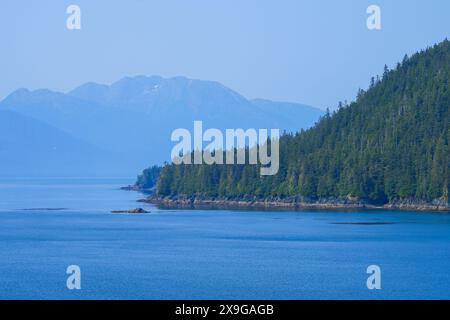 Arktischer Wald am Ufer des Tracy Arm Fjords bei Juneau im Südosten Alaskas, USA Stockfoto