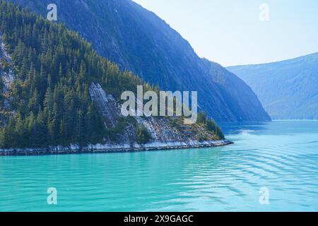 Arktischer Wald am Ufer des Tracy Arm Fjords bei Juneau im Südosten Alaskas, USA Stockfoto