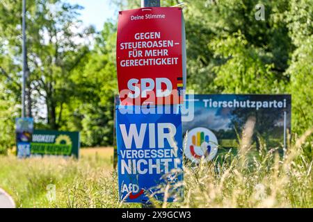 DE, Europawahl 2024, Wahlplakate in Kempten / 28.05.2024, Adenauerring, Kempten, DE, Europawahl 2024, Wahlplakate in Kempten, zwei Wochen vor der Europawahl sind zahlreiche Wahlplakate an den Ringstrassen zu sehen im Bild Wahlplakate von SPD, AfD und Tierschutzpartei *** DE, Europawahlen 2024, Wahlplakate in Kempten 28 05 2024, Adenauerring, Kempten, GER, Europawahlen 2024, Wahlplakate in Kempten, zwei Wochen vor den Europawahlen, sind auf den Ringstraßen zahlreiche Wahlplakate zu sehen, in den Bildplakaten von SPD, AfD und Tierschutzpartei Nordphot Stockfoto