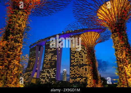 Licht- und Musikshow in Gardens by the Bay Park Supertrees erhöhter Fußweg Skyway zwischen bunt beleuchteten Super Trees, Gardens by the Bay, Singapur Stockfoto