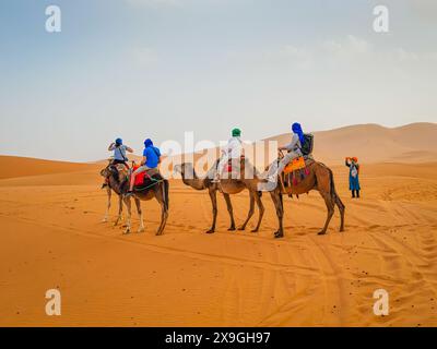 Kamelkarawane führt Touristen durch die Sahara-Wüste. Merzougha, Marokko Stockfoto