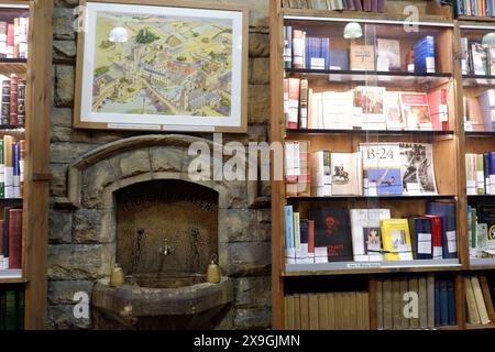 Barter Books, berühmter und riesiger Second-Hand-Buchladen im ehemaligen Bahnhofsgebäude in Alnwick Northumberland. Ehemaliger Trinkbrunnen Stockfoto