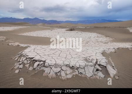 Zerrissene Trockenschlammmuster und Sanddünen am Morgen, Mesquite Flat Sand Dunes, Death Valley National Park, Kalifornien Stockfoto